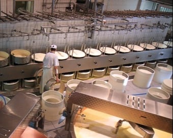 Cheese Making 35683131-1