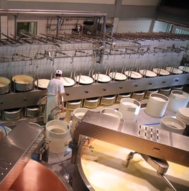 Cheese Making 35683131
